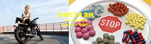 индика Новодвинск