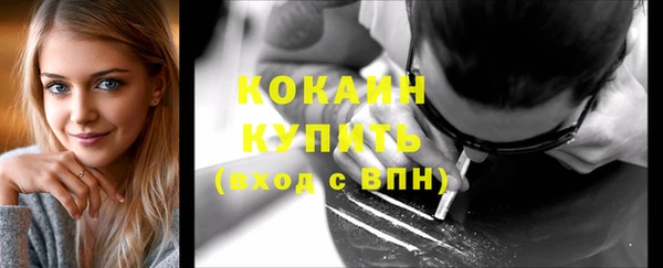 индика Новодвинск
