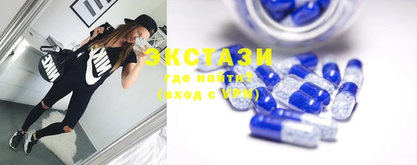 индика Новодвинск