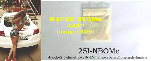 индика Новодвинск