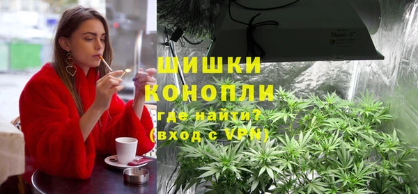 PSILOCYBIN Новозыбков