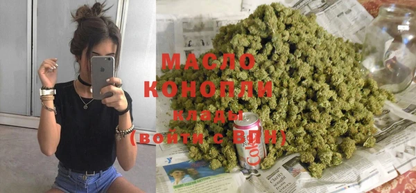 индика Новодвинск