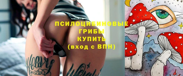 индика Новодвинск