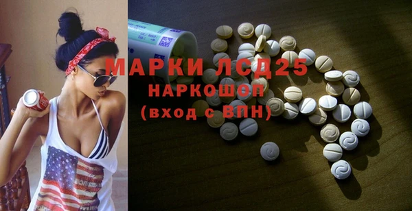 PSILOCYBIN Новозыбков