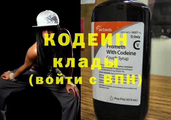 индика Новодвинск