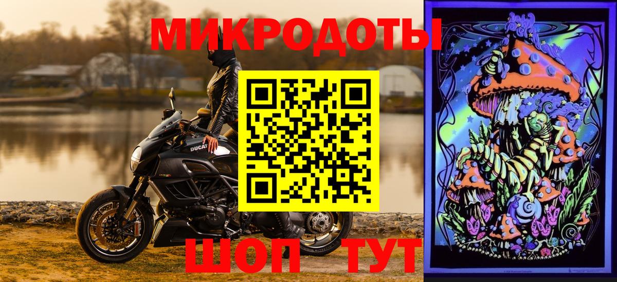 закладки  Нарткала  Галлюциногенные грибы прущие грибы 