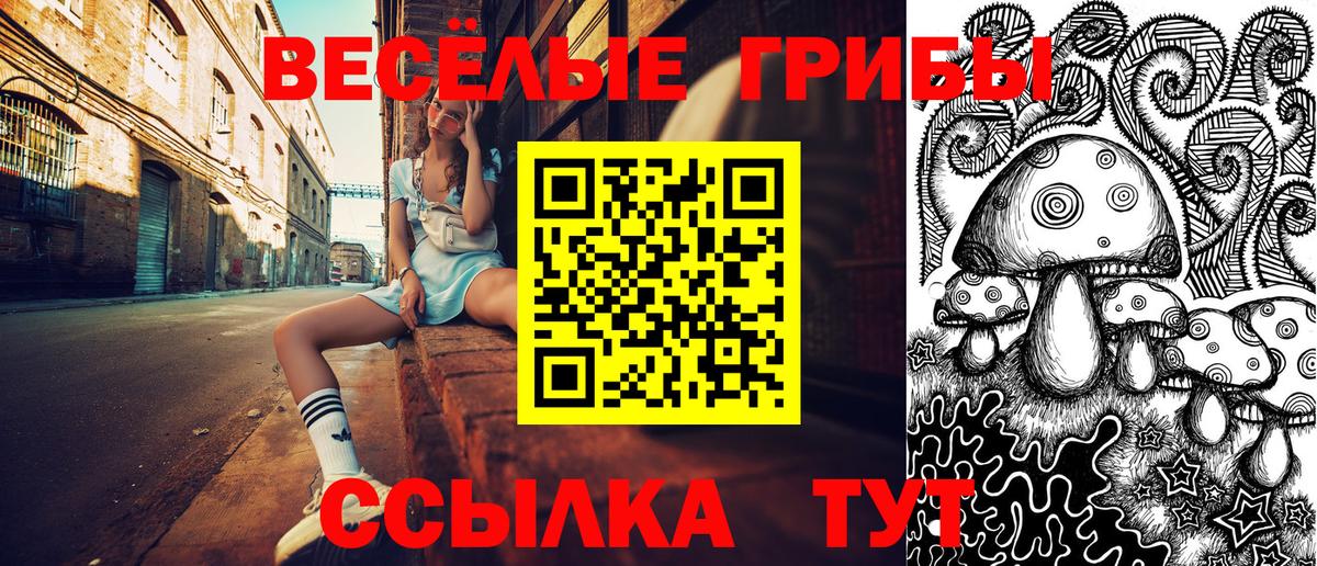 Нарткала  Галлюциногенные грибы мухоморы  Вход с VPN  Галлюциногенные грибы Psilocybe 