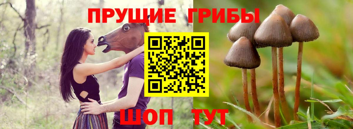 Галлюциногенные грибы Magic Shrooms Нарткала