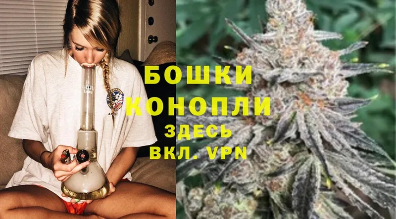 купить наркотик  Нарткала  Бошки марихуана OG Kush 