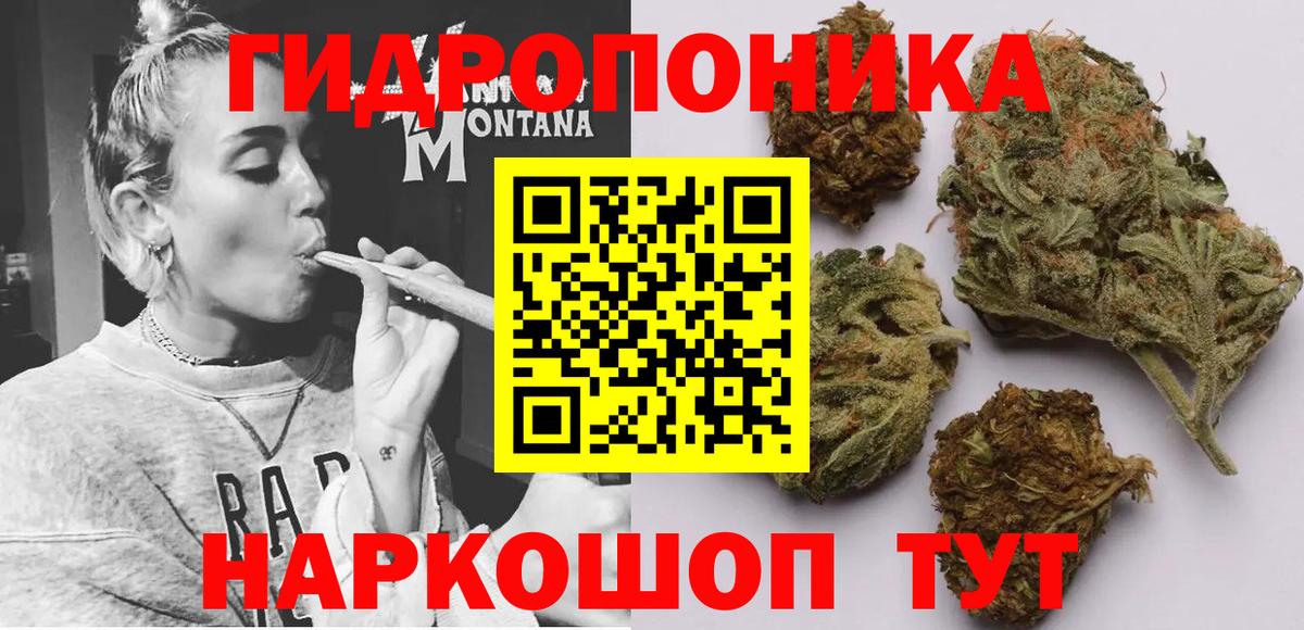 Нарткала  Канабис THC 21%  Марихуана планчик  Вход с VPN  Шишки марихуана индика 